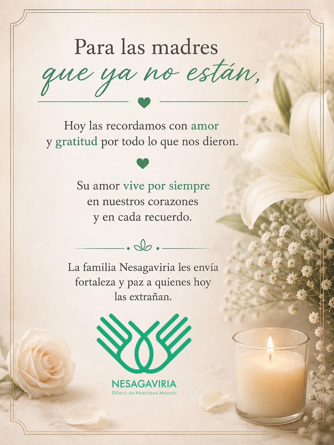 NESAGAVIRIA — imagen 1 de 4